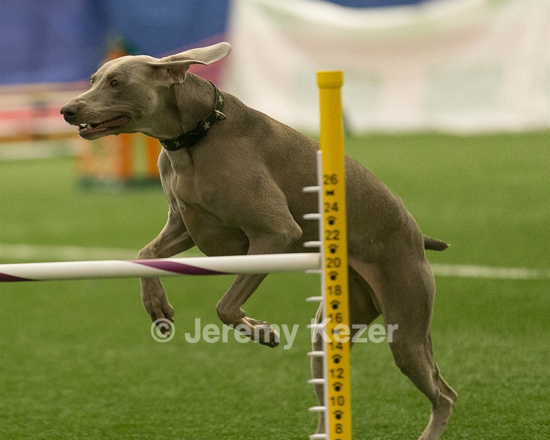 Antares Sandillo