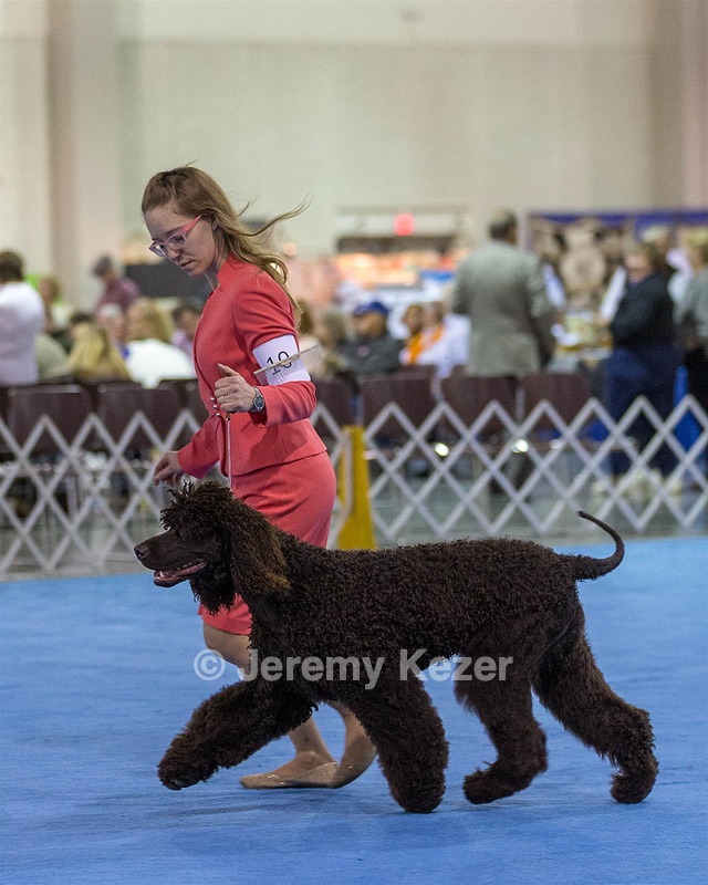 10 - Poole's Ide Touch Of Mink (Darla)