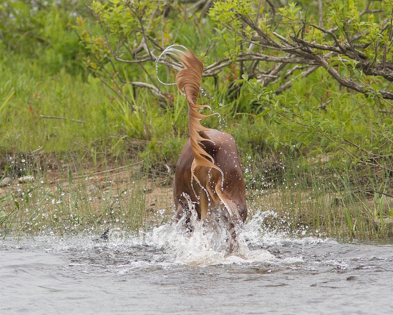 20080531-HRW-0761.jpg