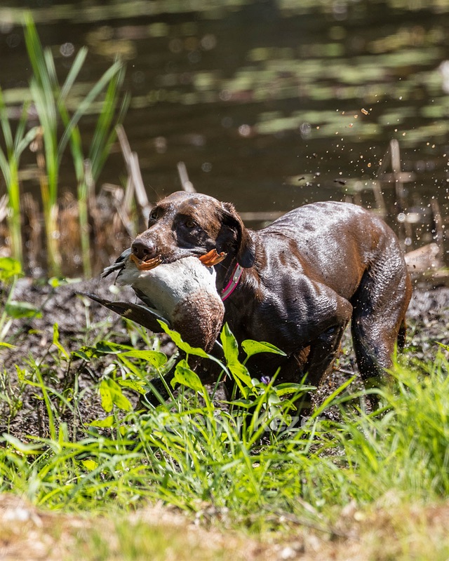 Roxy Fearnley