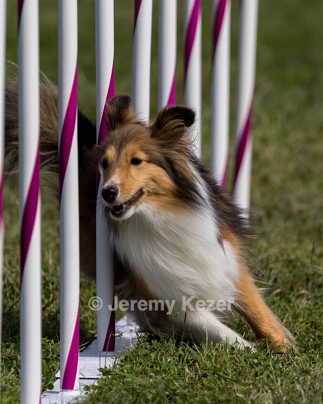 20230916-PVKC-1145.jpg