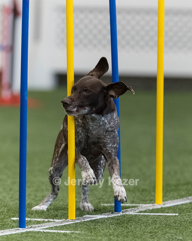Georgia Longo