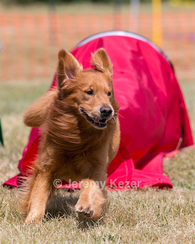 20150613-CCKC-0084.jpg