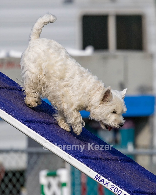 Ivy Barnum