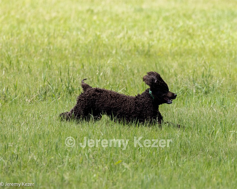 20220613-WD-0434.jpg