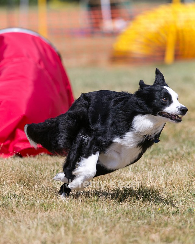20150613-CCKC-0155.jpg