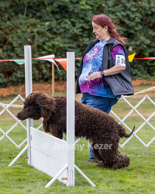 2401 - CAT'S' RUSTY CHARLIE RI CGC TKA (Dugan)