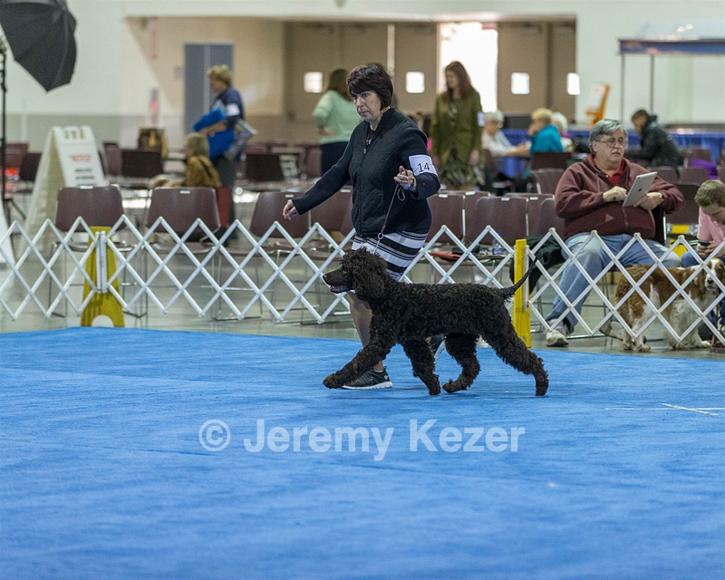14 - Chantico's Super G O'Muddy Waters (Ghillie)