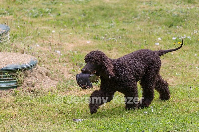 20190512-BD-0113.jpg