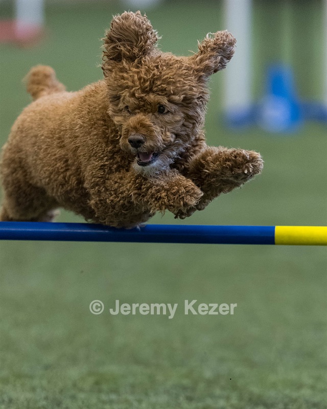 Champ Soccodato