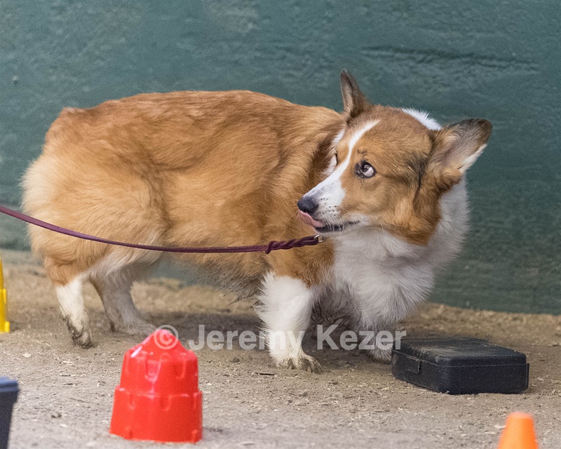 20260718-NSKC-0668.jpg