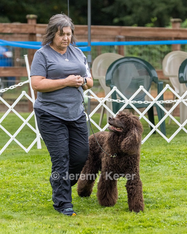 1101 - FINNIBONE'S CUZ MAMA CAN RE DS DJA CGC TKN VHMA (Mama Cass)