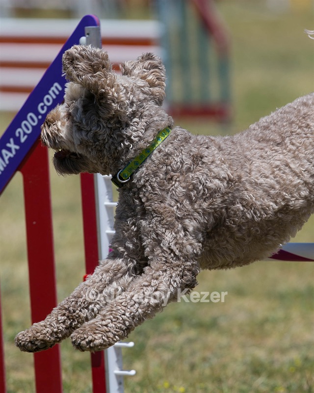 20150613-CCKC-0418.jpg