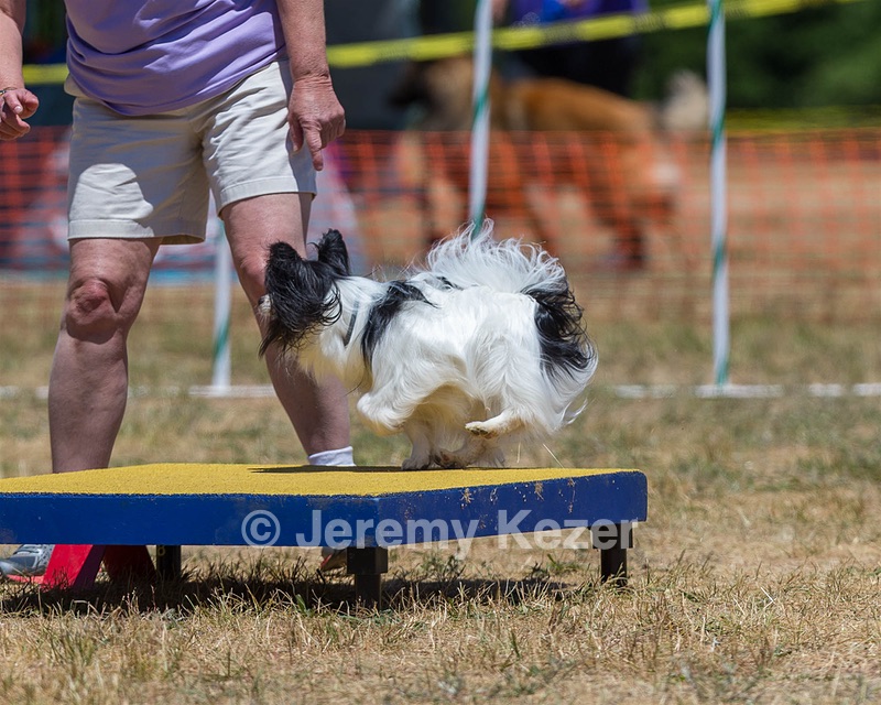20160619-CCKC-1127.jpg