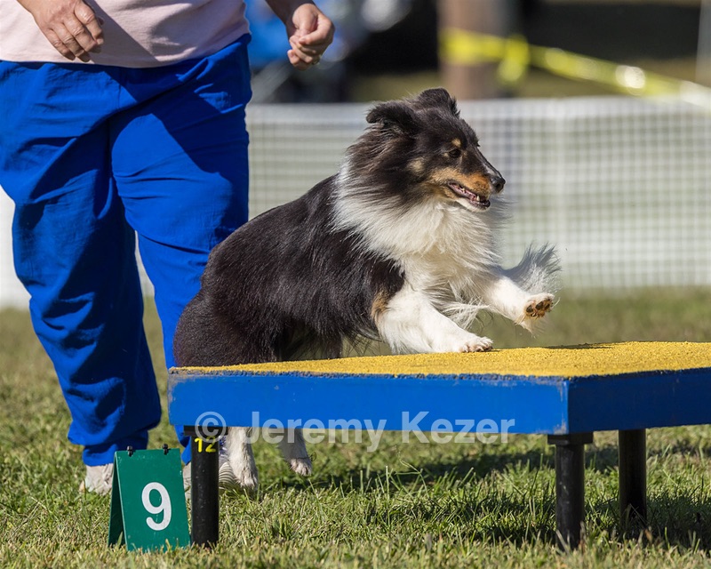 Winnie Klinkowski