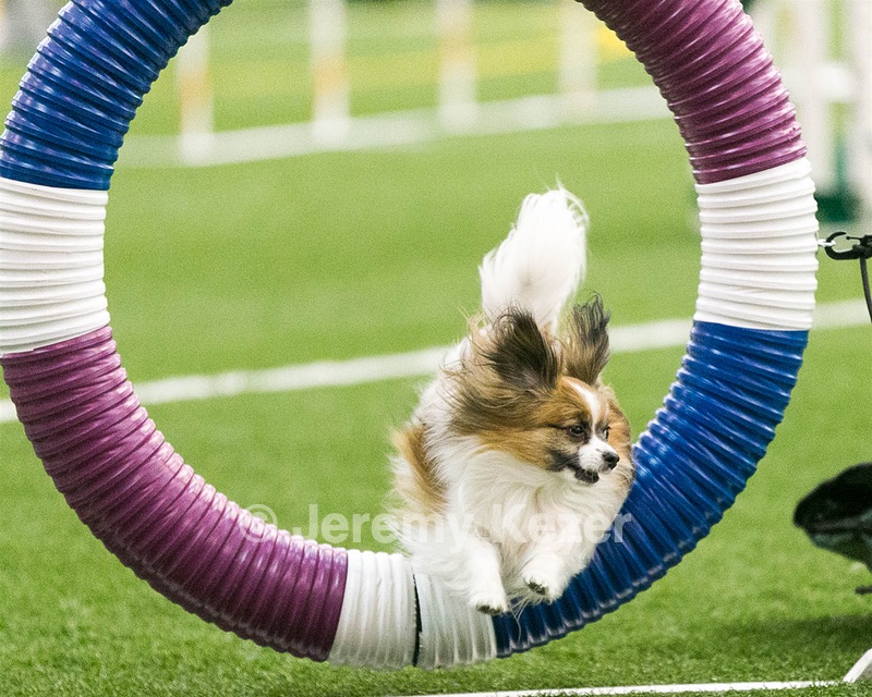 20150322-LEAP-0070.jpg