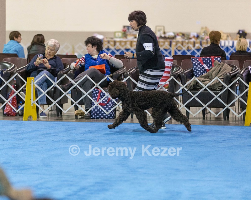 14 - Chantico's Super G O'Muddy Waters (Ghillie)