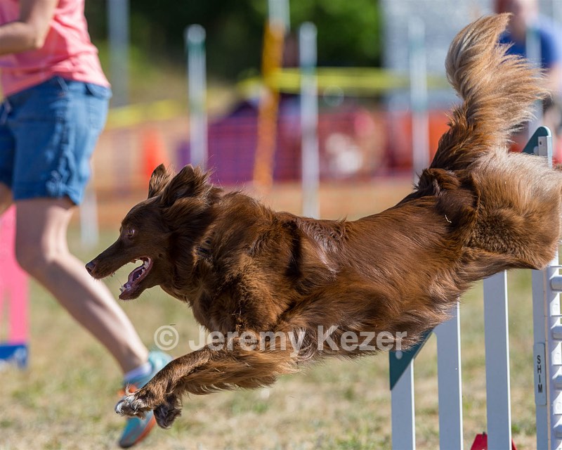 20160618-CCKC-0084.jpg