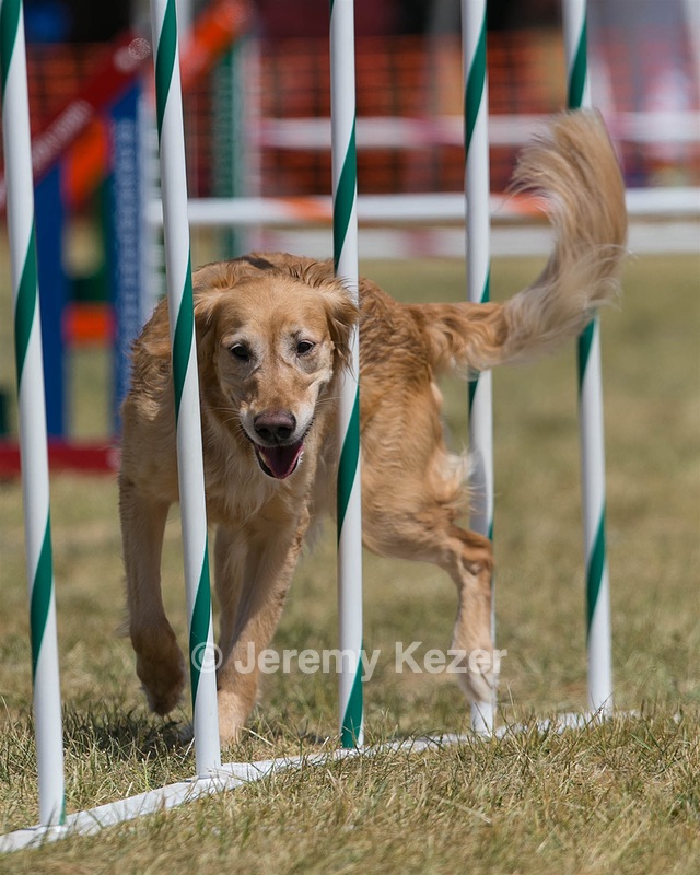 20150614-CCKC-1736.jpg