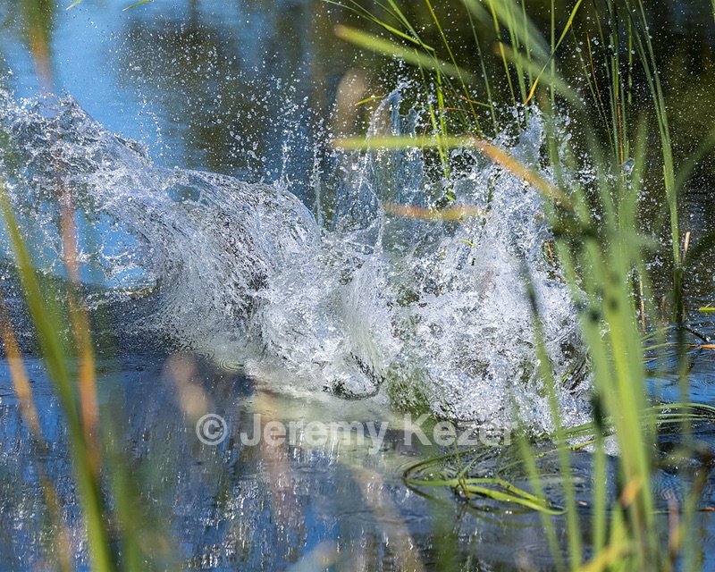 20220731-JHW-0014.jpg