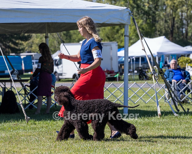 24 - POOLE'S IDE MODERN LOVE CGC (Remi)
