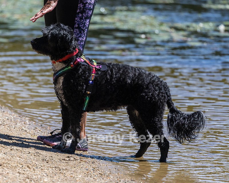 Gabi Robinson