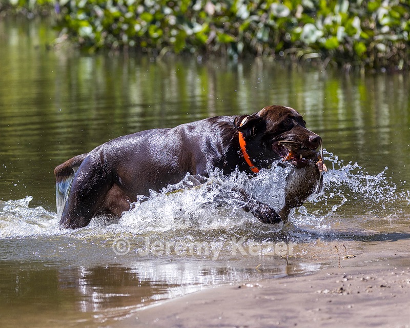 Baker Marsh