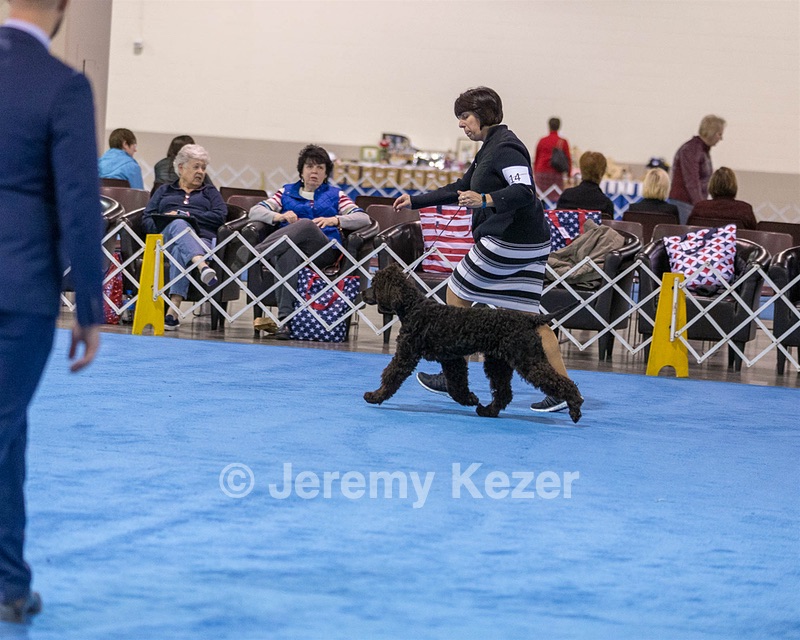 14 - Chantico's Super G O'Muddy Waters (Ghillie)