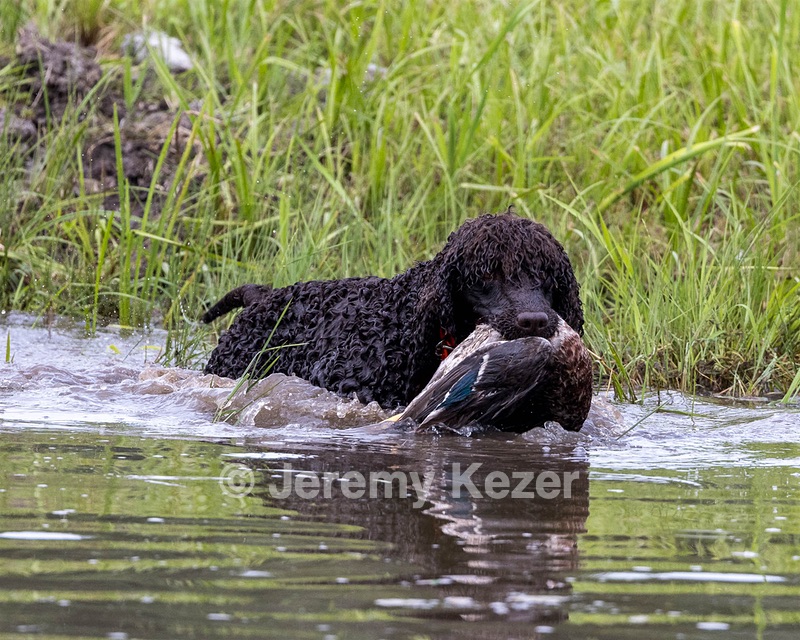 Ghillie Kezer