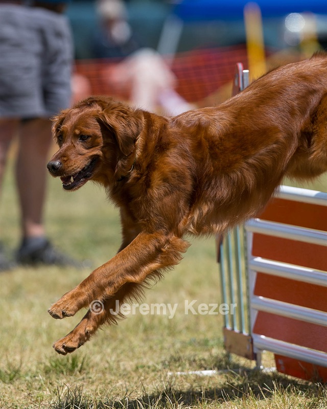 20150613-CCKC-0129.jpg