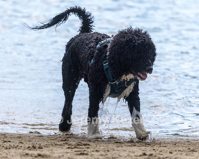 Ember Cavanaugh