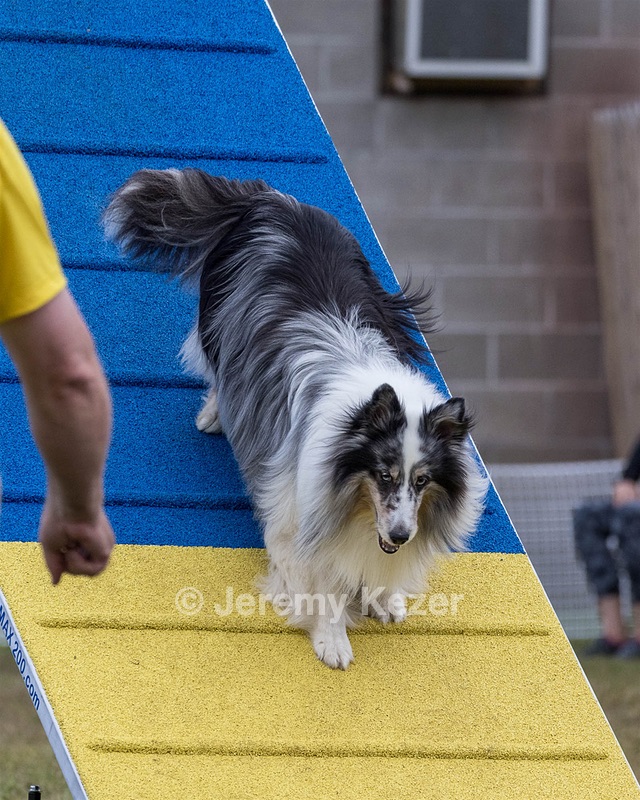 20230917-PVKC-2971.jpg