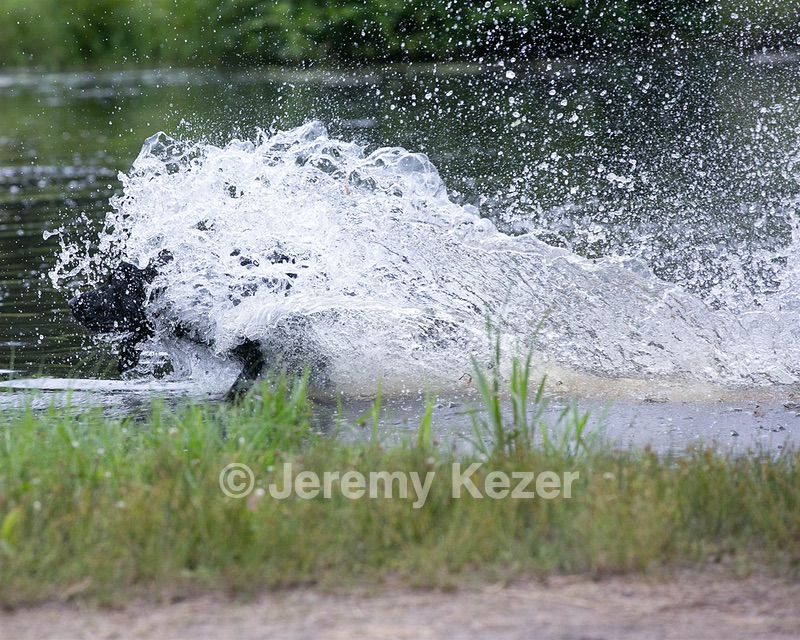 20130713-MHB2-0063.jpg