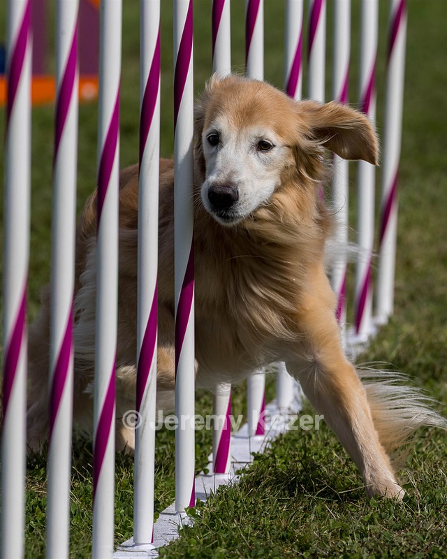 20230916-PVKC-1193.jpg