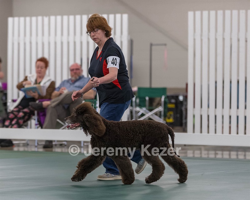 40 - GCH POOLE'S IDE BONNIE BROOK CD RE CGC (Bonnie)