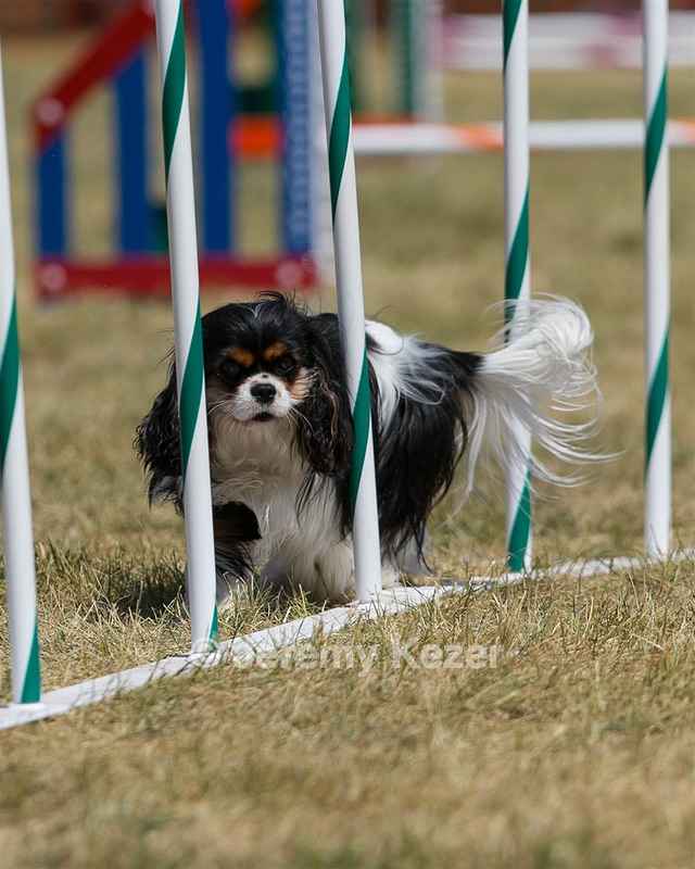 20150614-CCKC-1825.jpg