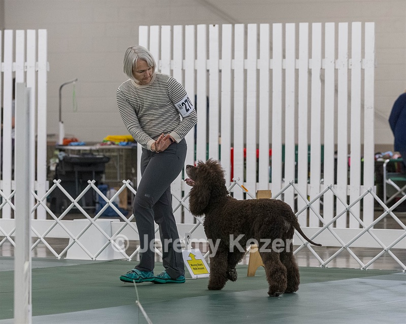 2701 - GCH POOLE'S IDE BONNIE BROOK CD RE CGC (Bonnie)