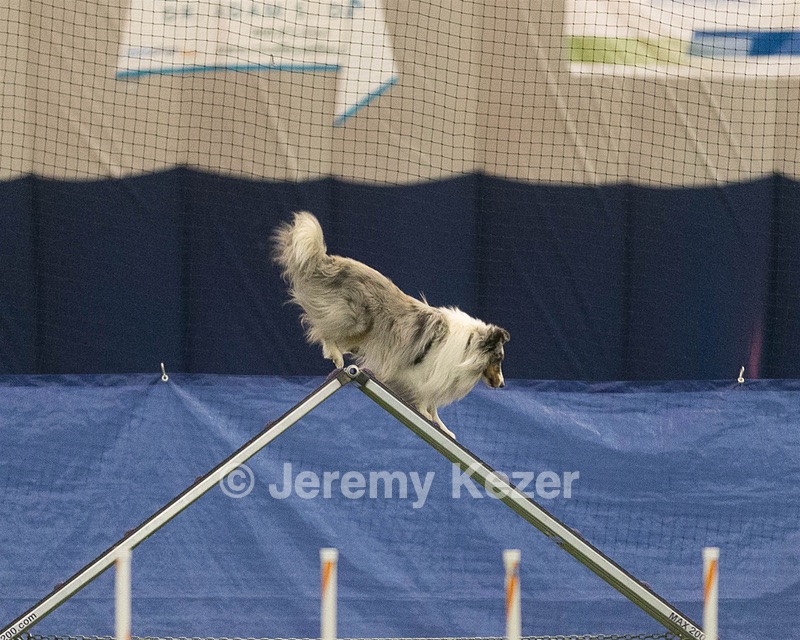 20150321-LEAP-1404.jpg
