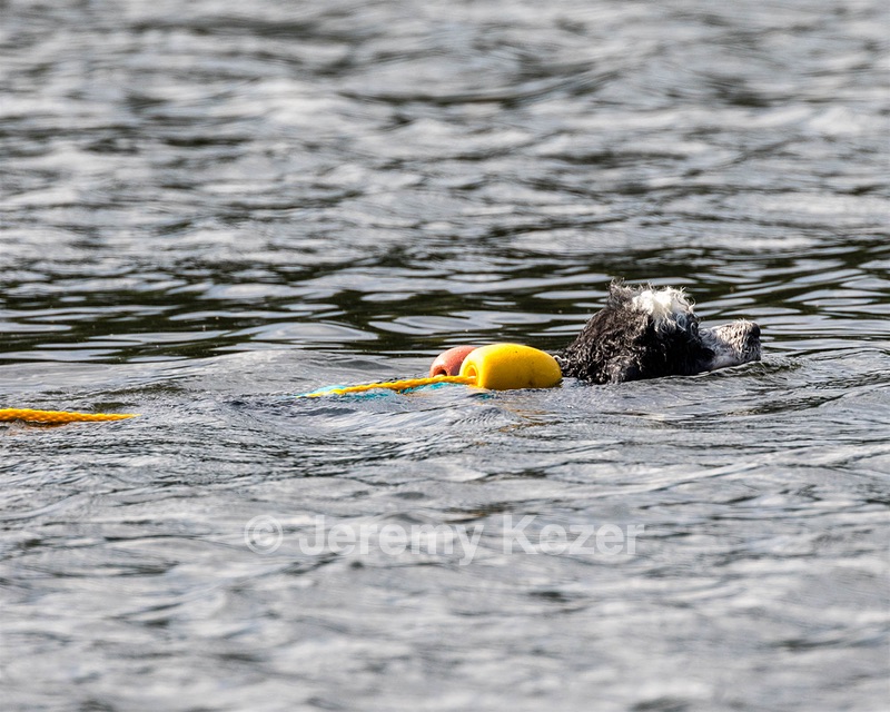 Paint