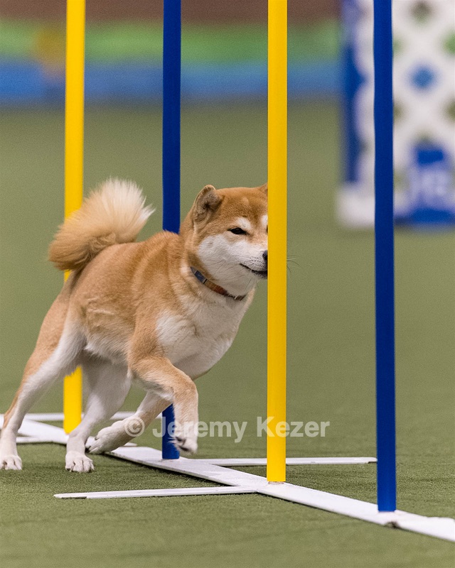 Sunshine Giles