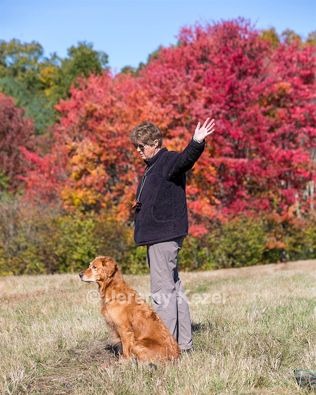 Rosie