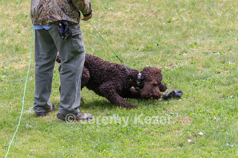 20190512-BD-0128.jpg