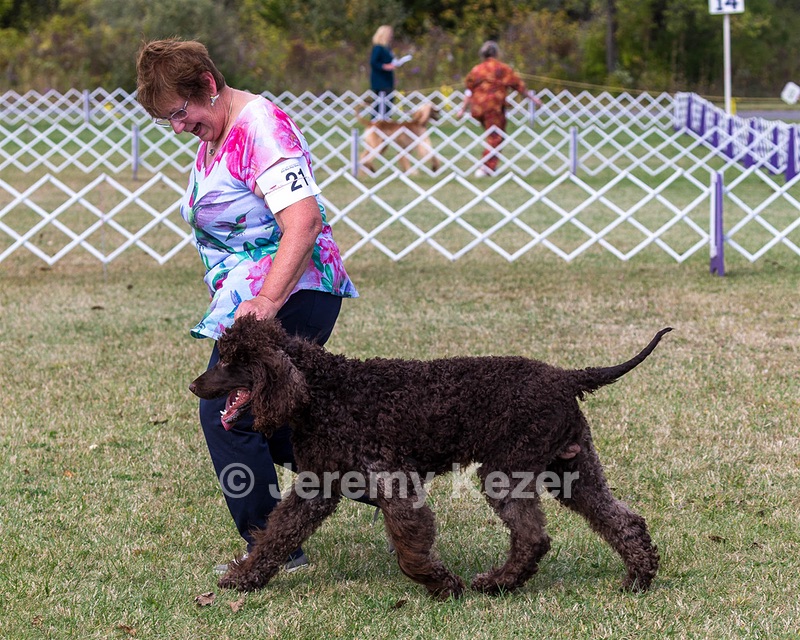 21 - CASTLEHILL'S YOU'VE GOT A FRIEND IN ME (Hank)