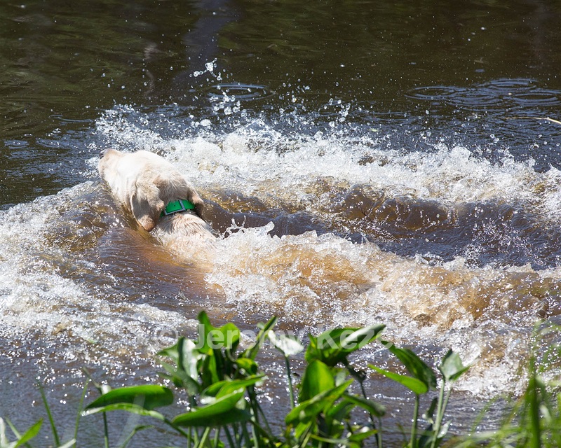 20130601-SHRW-0489.jpg