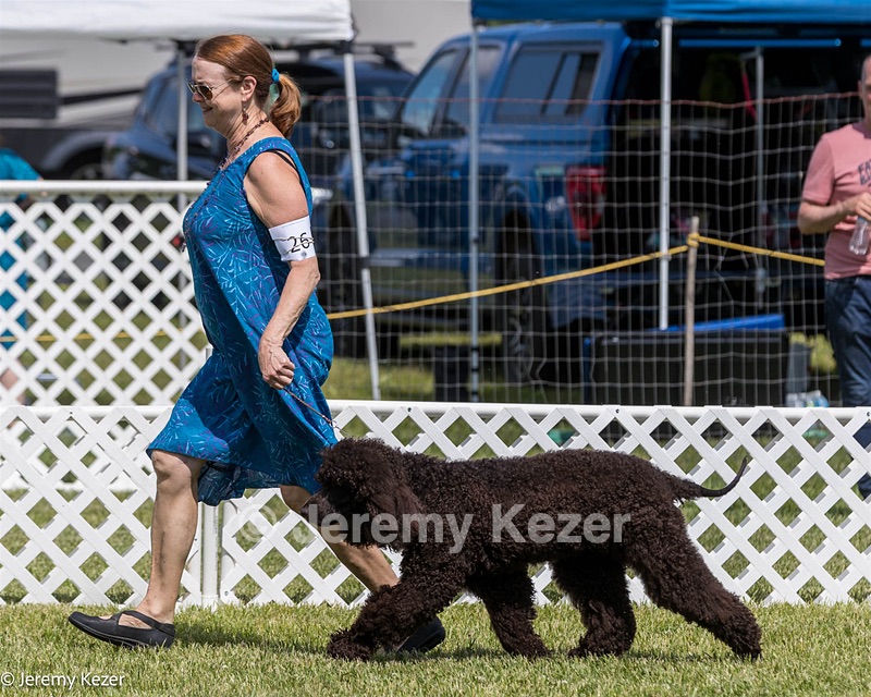 26 - Riverdance Enya Of Lake Alexander