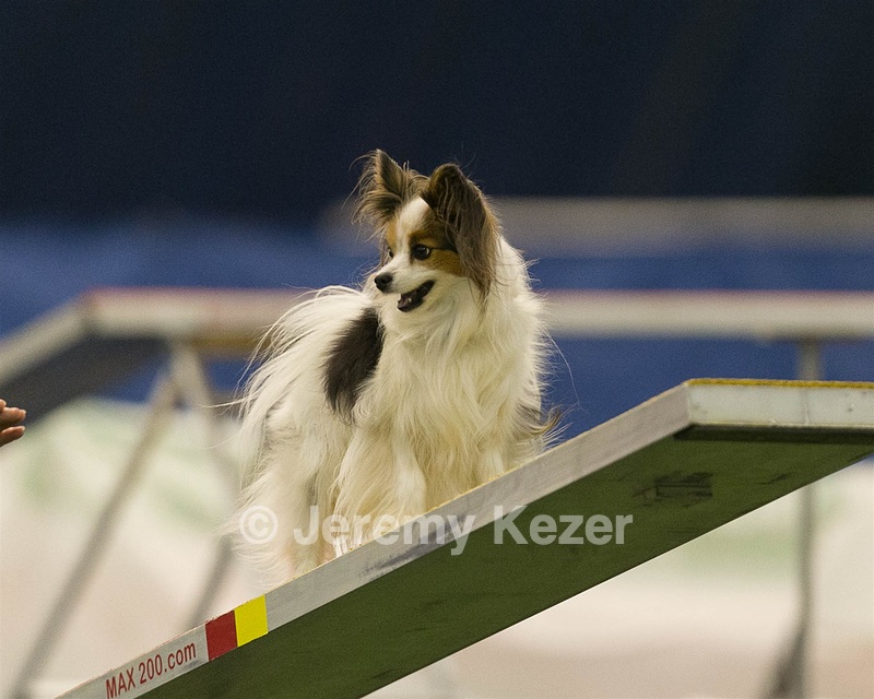 20150321-LEAP-1646.jpg
