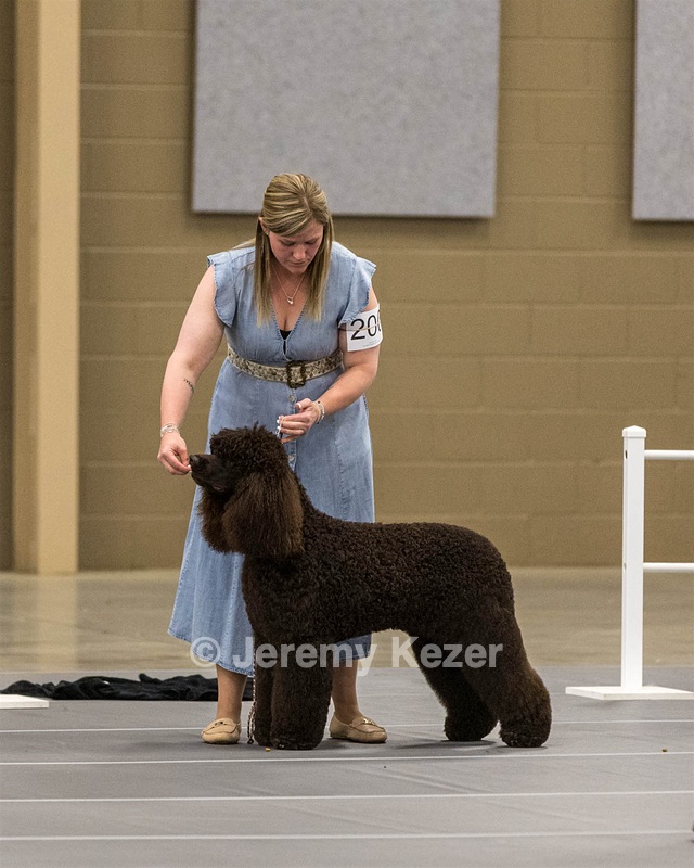 200 - GCH CH Poole’s Ide By Design