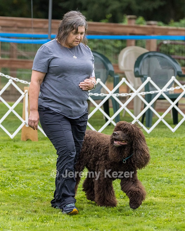 1101 - FINNIBONE'S CUZ MAMA CAN RE DS DJA CGC TKN VHMA (Mama Cass)