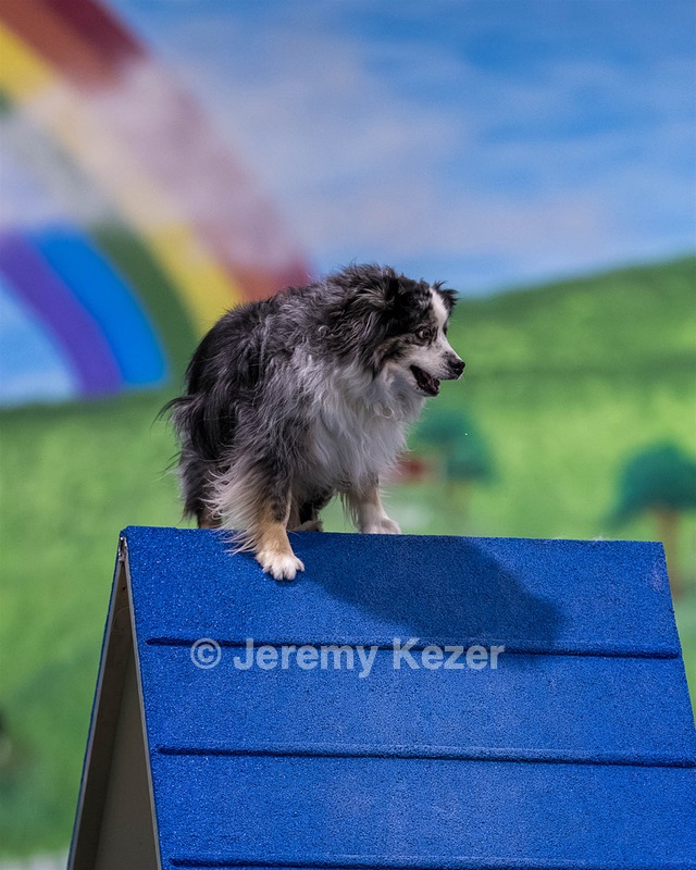 Breezy Jewett