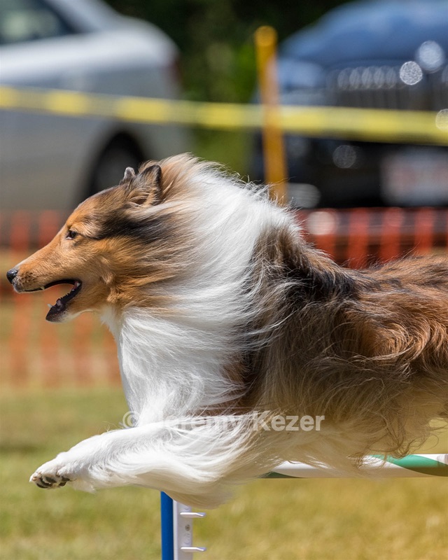 Cinder Rogers